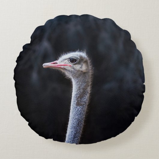 ダチョウの写真 ラウンドクッション (正面)