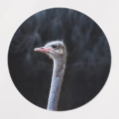 ダチョウの写真 ラベル (デザイン2)