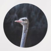 ダチョウの写真 ラベル (デザイン1)