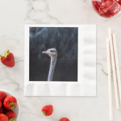 ダチョウの写真 縁ありランチョンナプキン (インサイチュ)
