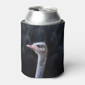ダチョウの写真 缶クーラー (缶正面)