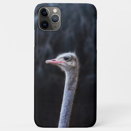 ダチョウの写真 Case-Mate iPhoneケース (裏面)