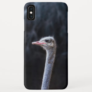 ダチョウの写真 iPhone XS MAXケース