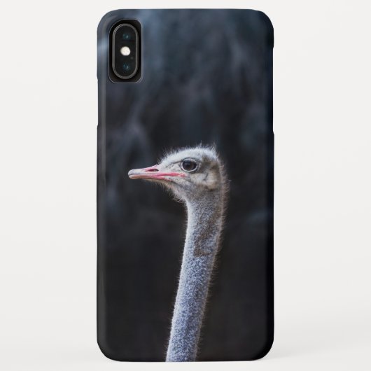 ダチョウの写真 Case-Mate iPhoneケース (裏面)