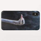 ダチョウの写真 Case-Mate iPhoneケース (裏面(横))