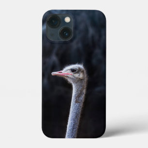 ダチョウの写真 iPhone 13 MINIケース