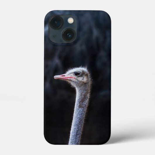 ダチョウの写真 Case-Mate iPhoneケース (裏面)