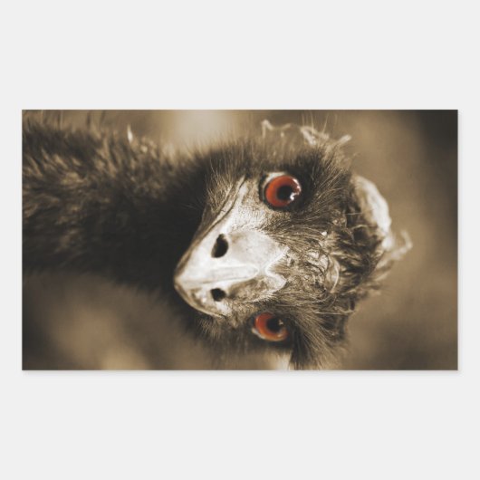 ダチョウの外観シール 長方形シール (正面)