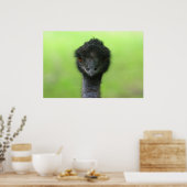 ダチョウの大きなポスター ポスター (キッチン)