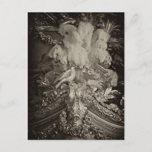 ダチョウの羽マリー・アントワネットのベッド。 ポストカード (正面)
