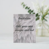 ダチョウの羽 招待状 (スタンド正面)