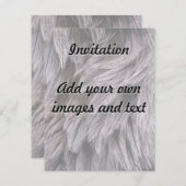 ダチョウの羽 招待状 (正面/裏面)