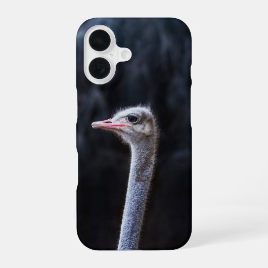ダチョウの肖像画 iPhone 16ケース (裏面)
