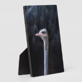 ダチョウの肖像    フォトプラーク (側面)