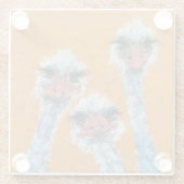 ダチョウシスターズグラスコースター ガラスコースター (裏面)