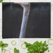 ダチョウポートレート キッチンタオル (折り畳み)