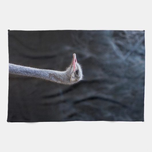 ダチョウポートレート キッチンタオル (横)