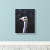 ダチョウポートレート キャンバスプリント (インサイチュ (ウッドフロア))