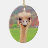 ダチョウポートレート セラミックオーナメント (右)