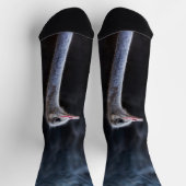 ダチョウポートレート ソックス (上部)