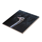 ダチョウポートレート タイル (側面)