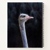 ダチョウポートレート ノートブック (裏面)