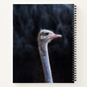ダチョウポートレート ノートブック (裏面)