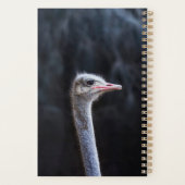 ダチョウポートレート プランナー手帳 (裏面)