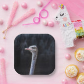 ダチョウポートレート ペーパープレート (パーティー)