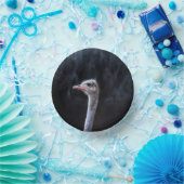 ダチョウポートレート ペーパーボウル (パーティー)