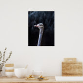 ダチョウポートレート ポスター (キッチン)