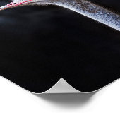 ダチョウポートレート ポスター (角)