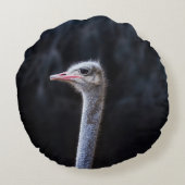 ダチョウポートレート ラウンドクッション (裏面)