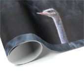 ダチョウポートレート ラッピングペーパー (ロールコーナー)