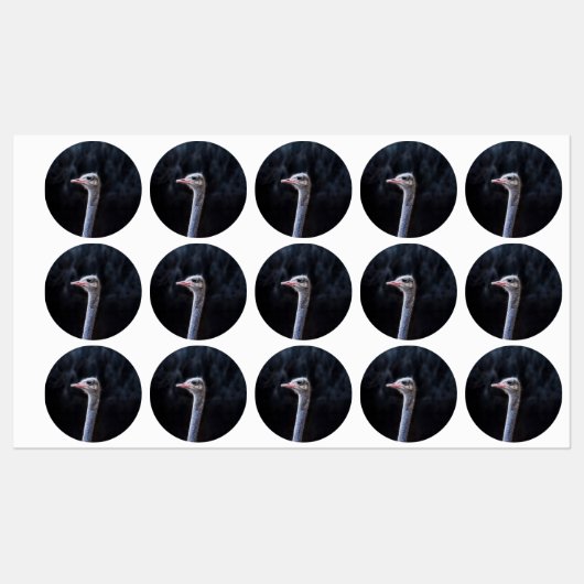 ダチョウポートレート ラベル (シート)