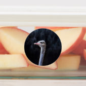 ダチョウポートレート ラベル (貼付)