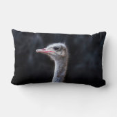 ダチョウポートレート ランバークッション (裏面)