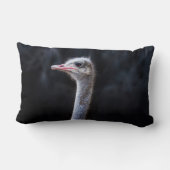 ダチョウポートレート ランバークッション (裏面)