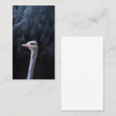 ダチョウポートレート 割引カード (正面/裏面)