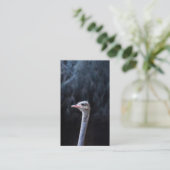 ダチョウポートレート 割引カード (スタンド正面)