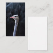 ダチョウポートレート 名刺 (正面/裏面)