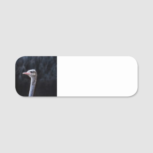 ダチョウポートレート 名札 (正面)