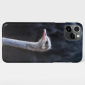 ダチョウポートレート iPhoneケース (裏面横)