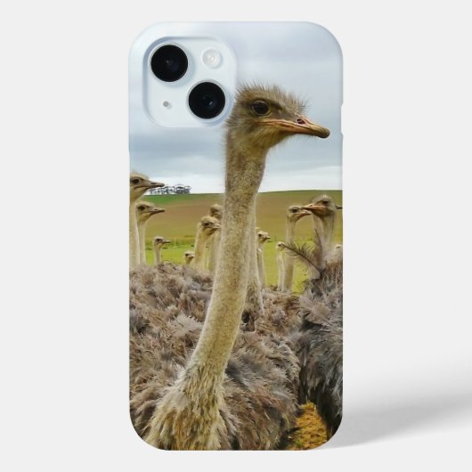 ダチョウ畑 Case-Mate iPhoneケース (裏面)