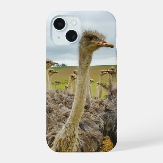 ダチョウ畑 iPhone 15ケース (裏面)