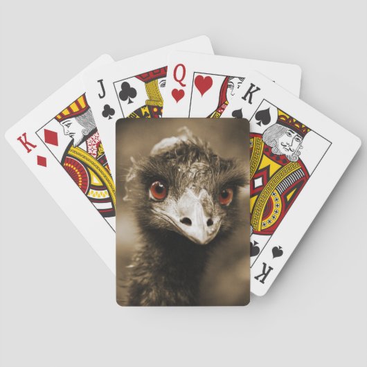 ダチョウ遊のカード トランプ (裏面)