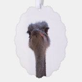 ダチョウ オーナメントカード (左)