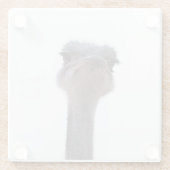 ダチョウ ガラスコースター (裏面)