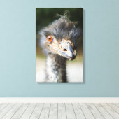 ダチョウ キャンバスプリント (インサイチュ (ウッドフロア))