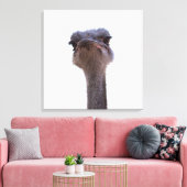 ダチョウ キャンバスプリント (インサイチュ (リビング))